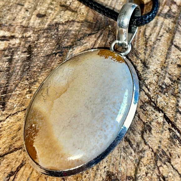 Owyhee Picture Jasper Pendant 2” - Picture 2 of 9